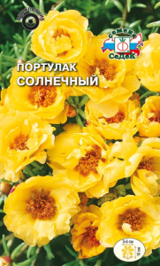 Портулак Солнечный купить