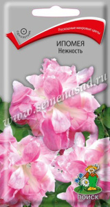 Ипомея Нежность  купить