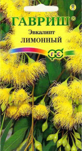 Эвкалипт лимонный Флагман  купить