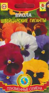 Виола Швейцарские гиганты (смесь)  купить