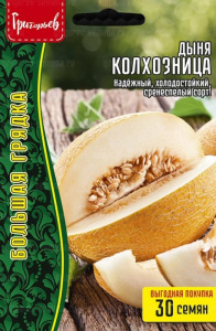 Дыня Колхозница ВП купить