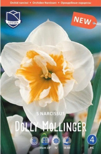 Нарцисс орхидейный "Dolly Mollinger" (1х5шт) купить