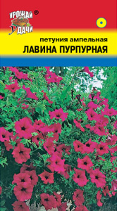 Петуния Лавина F1 Пурпурная купить