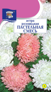 Астра розовидная Пастельная смесь  купить