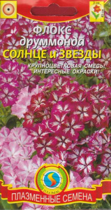 Флокс друммонда Солнце и Звезды смесь  купить