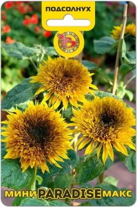 Подсолнух Мини-Макс F1 Парадиз махровый компактный  купить