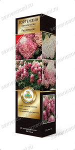 Гортензия Ред Вельвет метельчатая ЦК купить