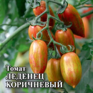 Томат Леденец коричневый  5г ПРОФ купить