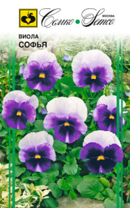 Виола Софья  купить