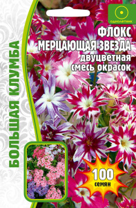 Флокс Мерцающая Звезда, двуцветная смесь купить