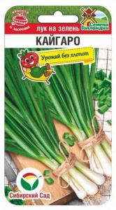Лук Кайгаро на зелень купить