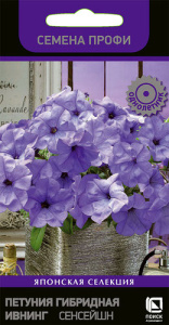 Петуния Ивнинг Сенсейшн гибридная купить