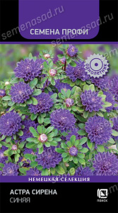 Астра Сирена Синяя купить