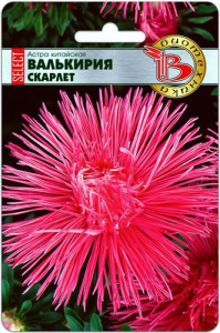 Астра Валькирия SELECT Скарлет  купить