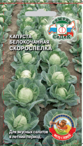 Капуста Скороспелка  купить