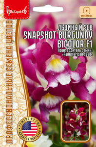 Львиный Зев Snapshot Burgundy Bicolor  купить