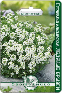 Гутчинзия альпийская Ледяные брызги  купить