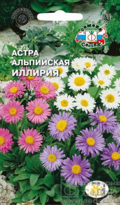 Астра Иллирия купить