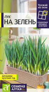 Лук НА ЗЕЛЕНЬ УРОЖАЙ НА ОКНЕ!,  купить