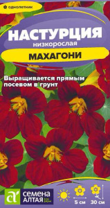 Настурция Махагони низкорослая  купить