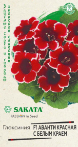 Глоксиния Аванти F1 Красная с белым краем купить