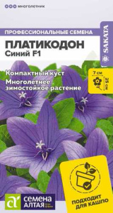 Платикодон Синий  купить