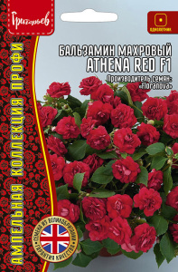 Бальзамин Афина F1 Ред (Athena Red) амп. купить