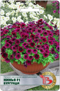 Петуния Нинья F1 Бургунди каскадная мелкоцветковая  купить