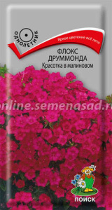 Флокс друммонда Красотка в малиновом купить