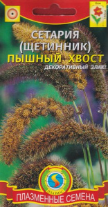 Сетария (Щетинник) Пышный хвост  купить
