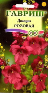 Диасция розовая  купить