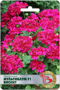 Пеларгония  Мультиблум F1 Виолет купить