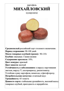 Картофель Михайловский А5 фото купить