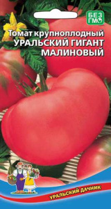 Томат Уральский гигант малиновый  купить