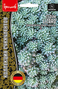 Седум Lizard  купить