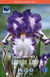 Ирис germanica Loop the Loop /1шт купить
