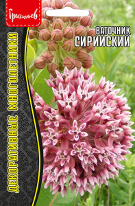 Ваточник Сирийский купить