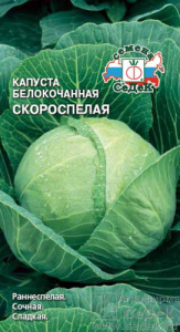 Капуста Скороспелая  купить