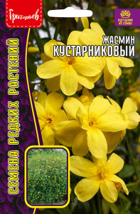 Жасмин Кустарниковый купить