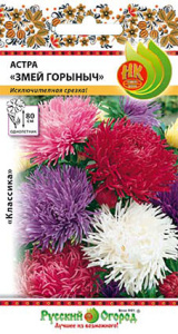 Астра Змей Горыныч купить