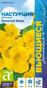 Настурция Золотой Блик большая  купить