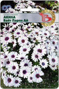 Остеоспермум Акила Вайт Парпл Ай купить