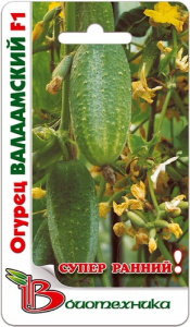 Огурец Валаамский F1 купить