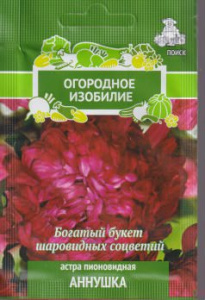 Астра Аннушка пионовидная купить