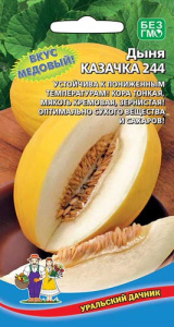 Дыня Казачка 244  купить