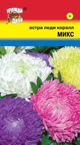 Астра Леди Коралл Микс Смесь  купить