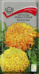 Бархатцы Фантастик прямостоячие купить
