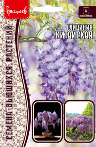Глициния Китайская купить