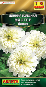 Цинния Мастер белая купить