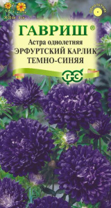 Астра Эрфуртский карлик Темно-синяя купить